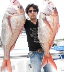 ＪＤＩ　Ｒａｃｉｎｇ　シールズマリンレジャー 釣果