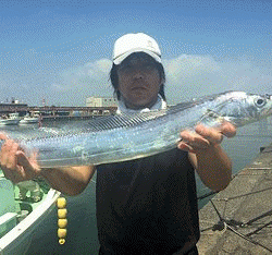 橋安丸 釣果