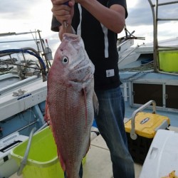 リトルワン 釣果