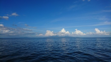 リトルワン 釣果